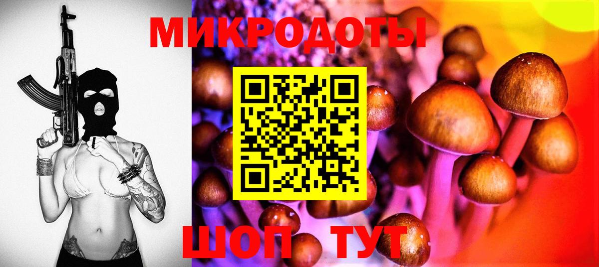 Псилоцибиновые грибы мухоморы  Вход с VPN  купить наркоту  Энгельс  Псилоцибиновые грибы Psilocybine cubensis 